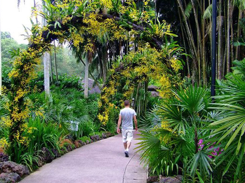 mj-saucier-jardins-botanique-de-singapour